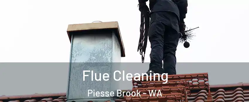 Flue Cleaning Piesse Brook - WA