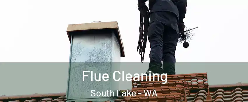 Flue Cleaning South Lake - WA