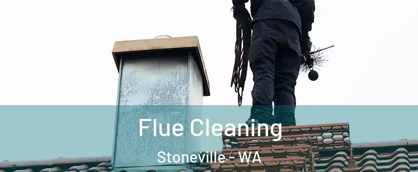 Flue Cleaning Stoneville - WA