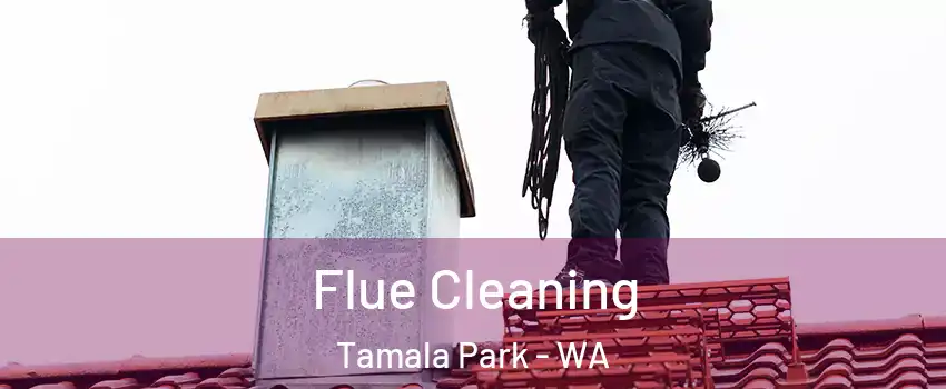 Flue Cleaning Tamala Park - WA