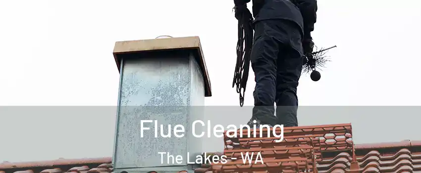 Flue Cleaning The Lakes - WA