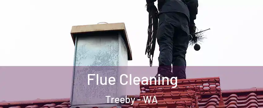 Flue Cleaning Treeby - WA
