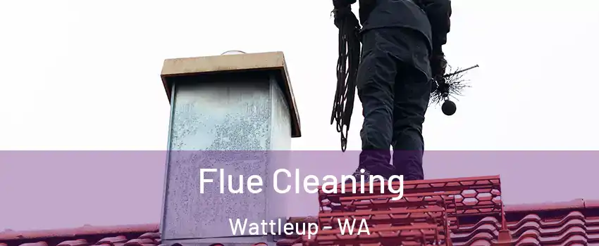 Flue Cleaning Wattleup - WA