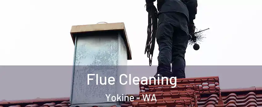 Flue Cleaning Yokine - WA