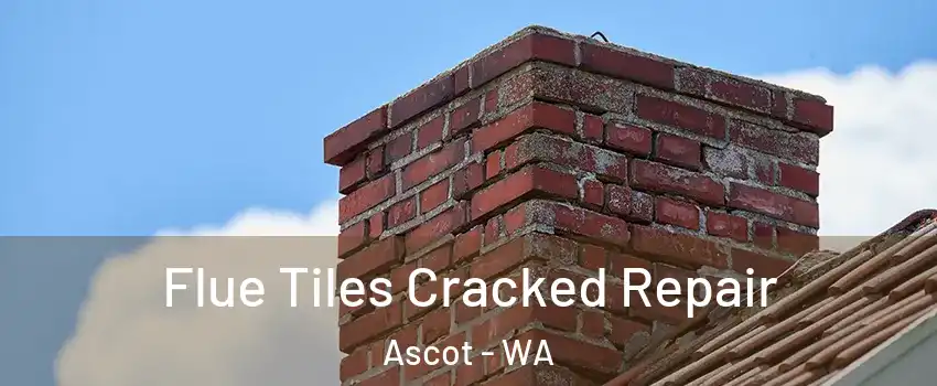 Flue Tiles Cracked Repair Ascot - WA
