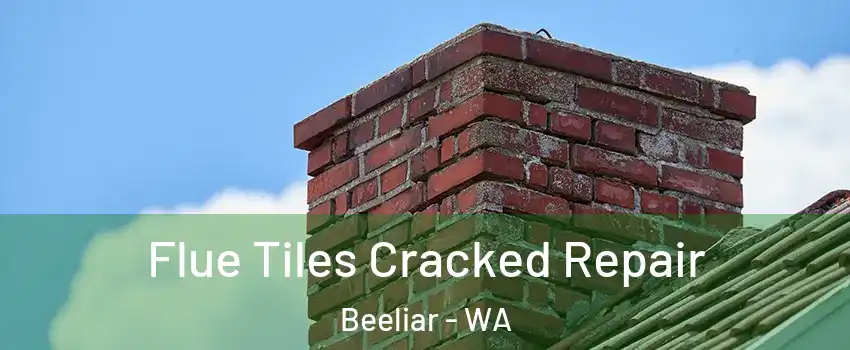 Flue Tiles Cracked Repair Beeliar - WA