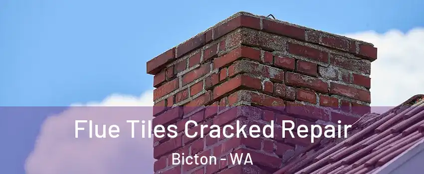 Flue Tiles Cracked Repair Bicton - WA