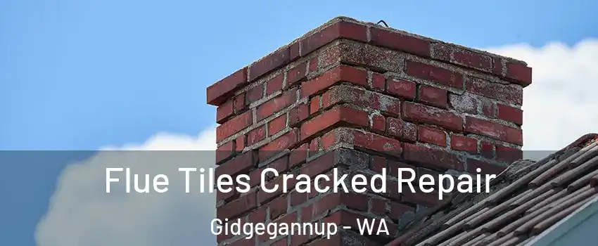 Flue Tiles Cracked Repair Gidgegannup - WA