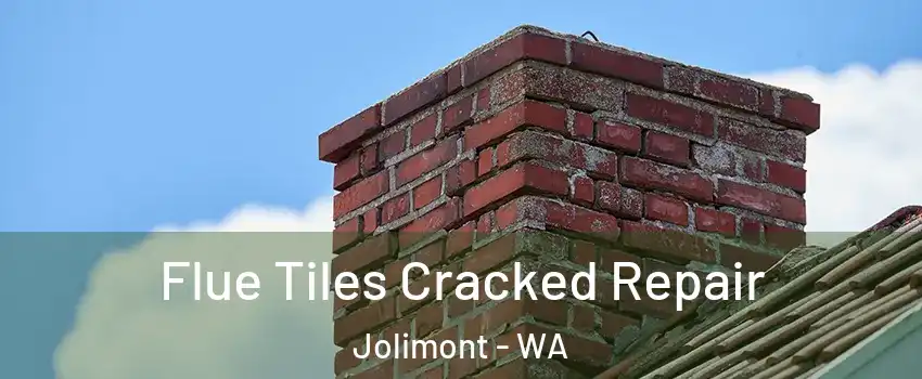 Flue Tiles Cracked Repair Jolimont - WA
