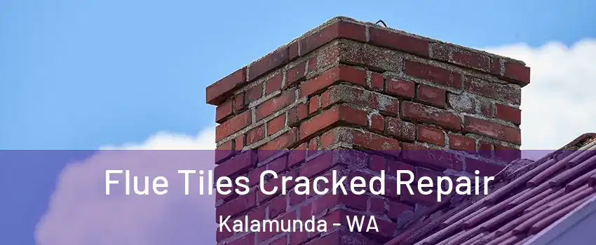 Flue Tiles Cracked Repair Kalamunda - WA