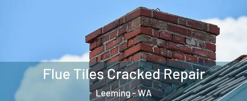 Flue Tiles Cracked Repair Leeming - WA