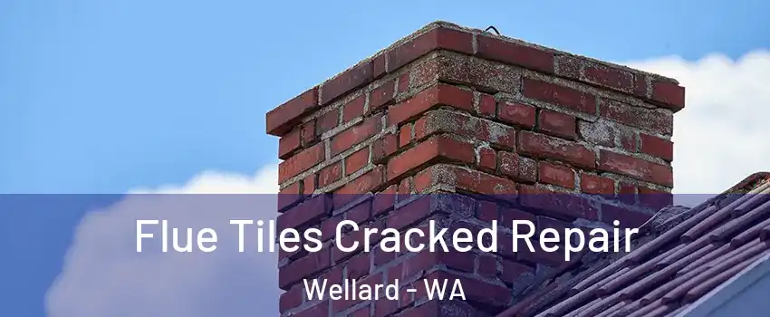 Flue Tiles Cracked Repair Wellard - WA