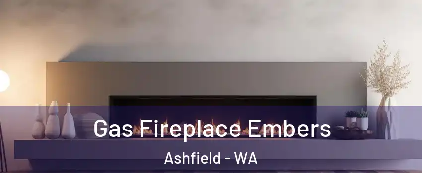 Gas Fireplace Embers Ashfield - WA