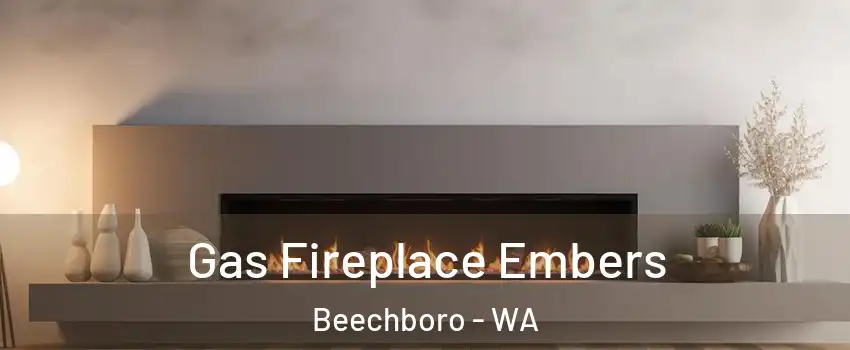 Gas Fireplace Embers Beechboro - WA