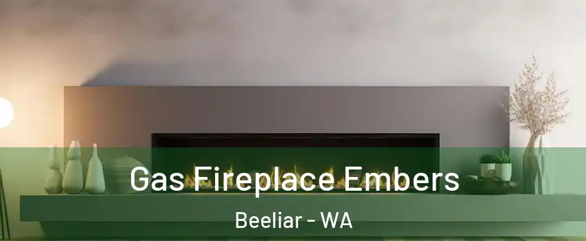 Gas Fireplace Embers Beeliar - WA