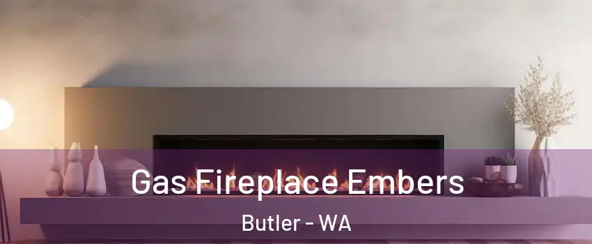 Gas Fireplace Embers Butler - WA