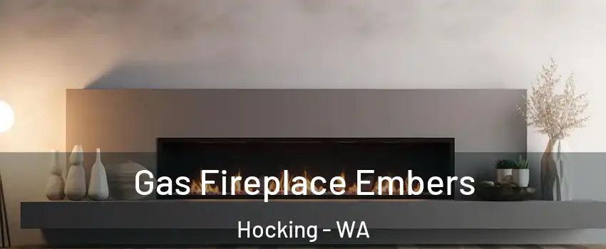 Gas Fireplace Embers Hocking - WA