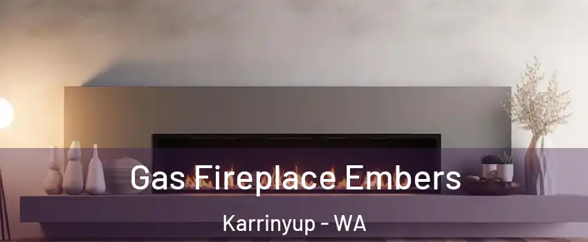 Gas Fireplace Embers Karrinyup - WA