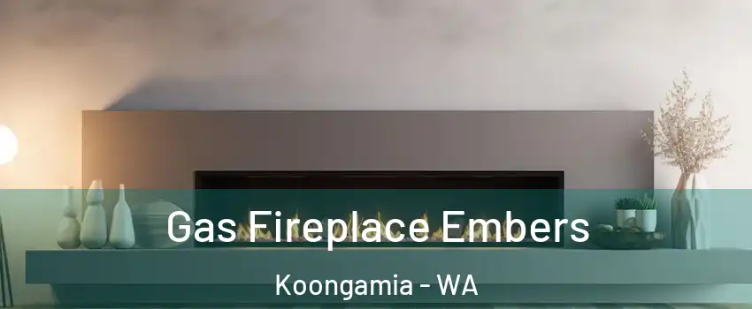 Gas Fireplace Embers Koongamia - WA