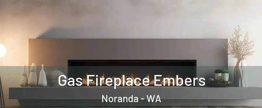 Gas Fireplace Embers Noranda - WA