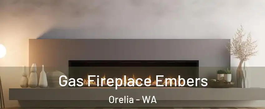Gas Fireplace Embers Orelia - WA