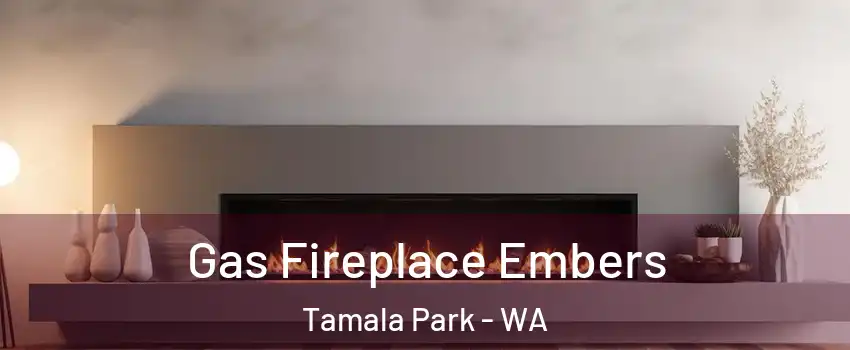 Gas Fireplace Embers Tamala Park - WA