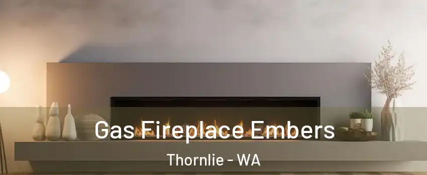 Gas Fireplace Embers Thornlie - WA