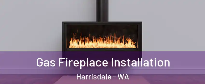 Gas Fireplace Installation Harrisdale - WA