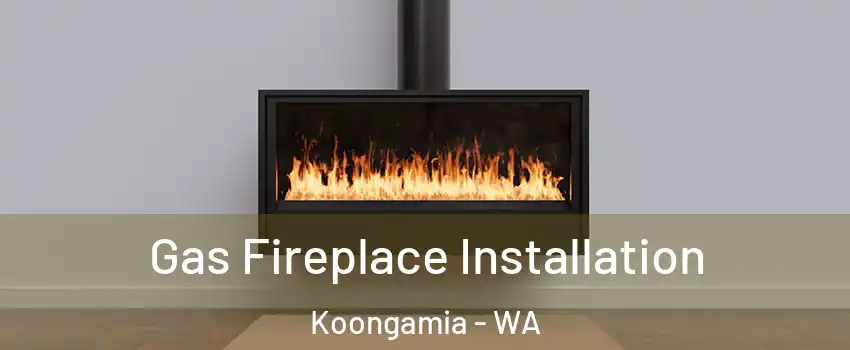 Gas Fireplace Installation Koongamia - WA