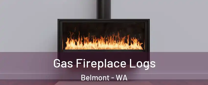 Gas Fireplace Logs Belmont - WA