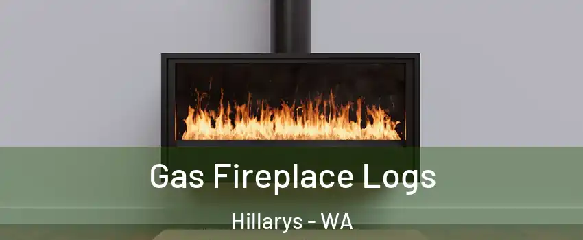 Gas Fireplace Logs Hillarys - WA