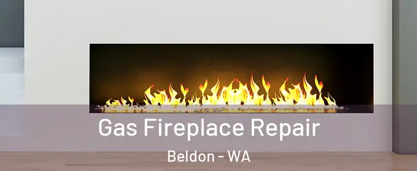 Gas Fireplace Repair Beldon - WA