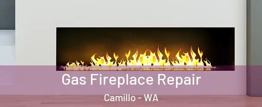 Gas Fireplace Repair Camillo - WA