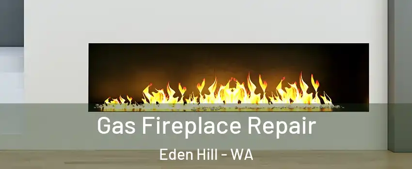 Gas Fireplace Repair Eden Hill - WA