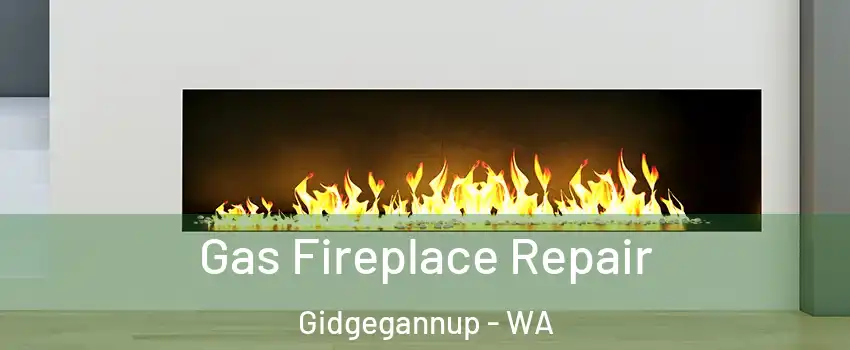Gas Fireplace Repair Gidgegannup - WA