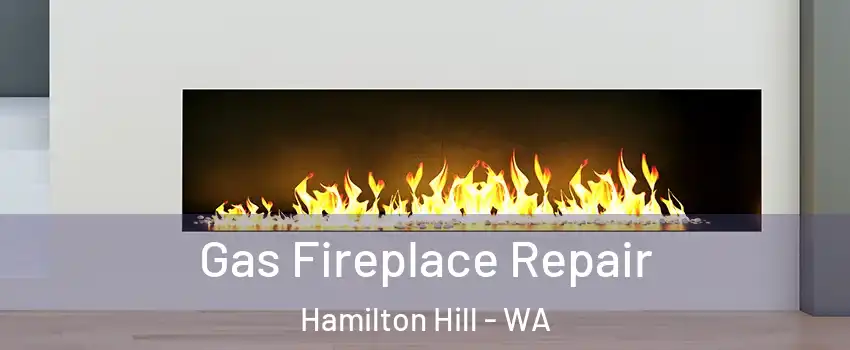 Gas Fireplace Repair Hamilton Hill - WA
