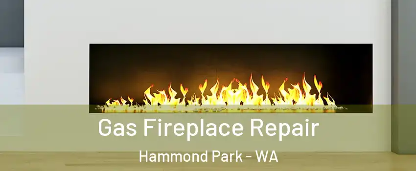 Gas Fireplace Repair Hammond Park - WA