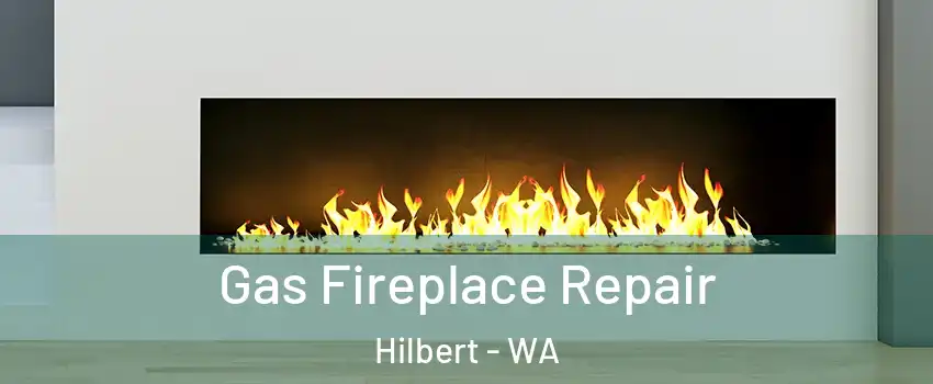 Gas Fireplace Repair Hilbert - WA