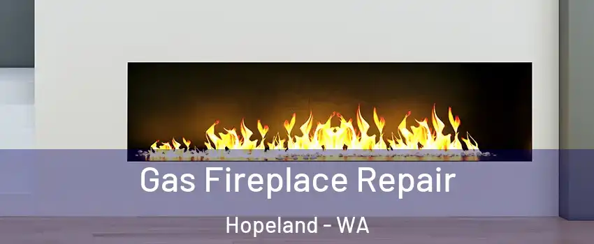 Gas Fireplace Repair Hopeland - WA