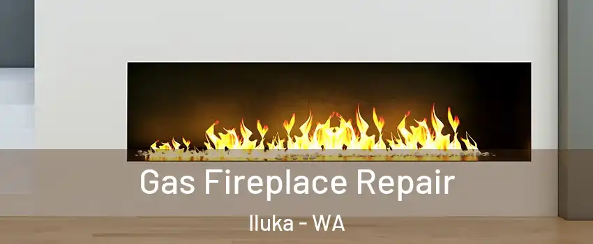 Gas Fireplace Repair Iluka - WA