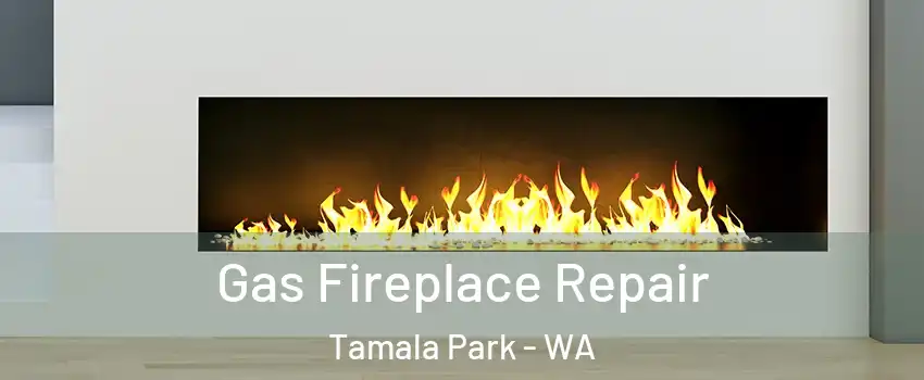 Gas Fireplace Repair Tamala Park - WA