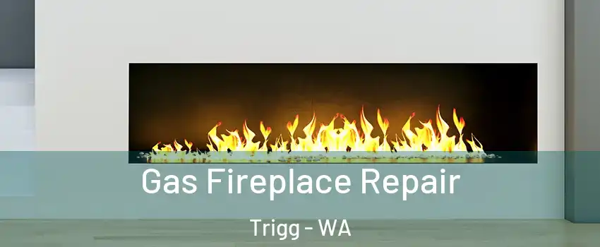 Gas Fireplace Repair Trigg - WA