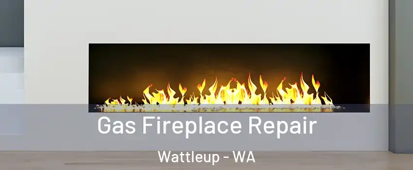 Gas Fireplace Repair Wattleup - WA