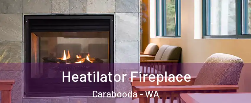 Heatilator Fireplace Carabooda - WA