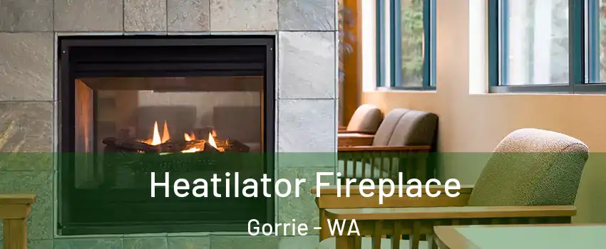 Heatilator Fireplace Gorrie - WA