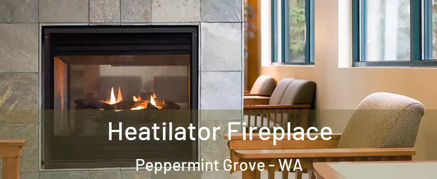 Heatilator Fireplace Peppermint Grove - WA