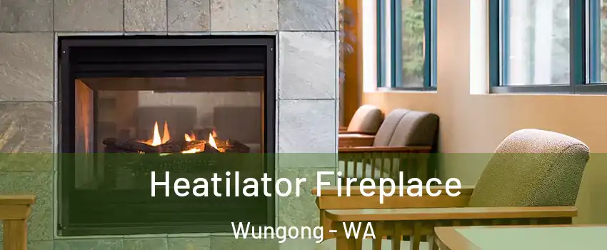 Heatilator Fireplace Wungong - WA