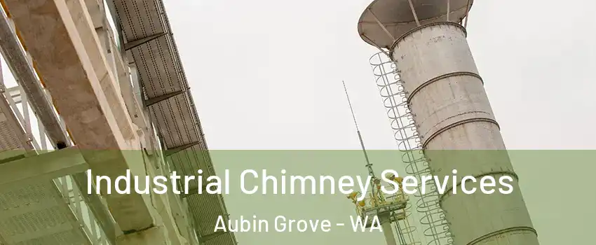 Industrial Chimney Services Aubin Grove - WA