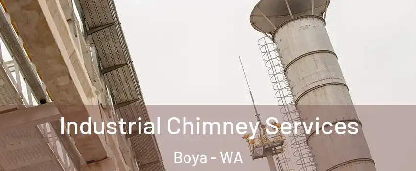 Industrial Chimney Services Boya - WA