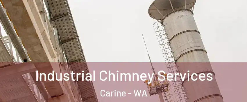 Industrial Chimney Services Carine - WA